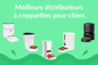 Découvrez les meilleurs distributeurs de croquettes pour chien en 2025